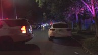 1 shot, killed early Wednesday in Dutchtown