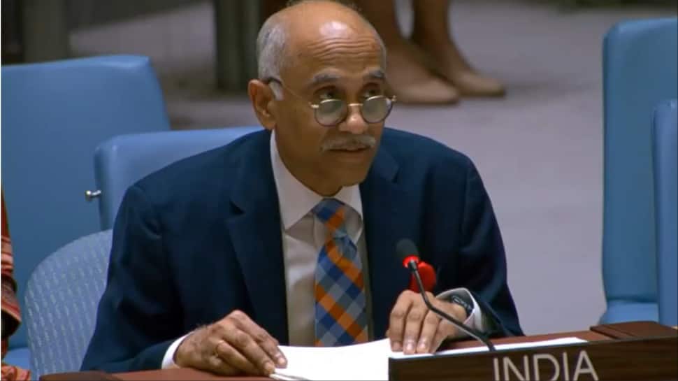 ‘Delusional Tirade’: India Rebukes Pakistan At UNSC Over Remarks On Kashmiri Women’s Security
