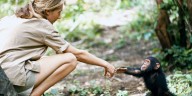 Murió Jane Goodall, la reconocida defensora de los derechos de los animales