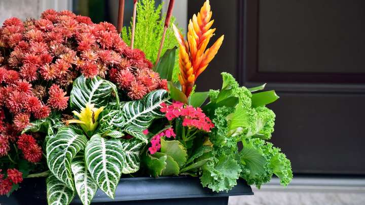 Joanna Gaines shares her tips on how to create beautiful planters