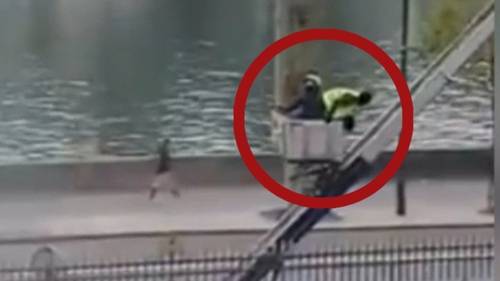 Video captures Louvre jewel thieves emerging from museum