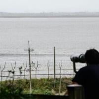 North Korean refugees long for family behind impenetrable border