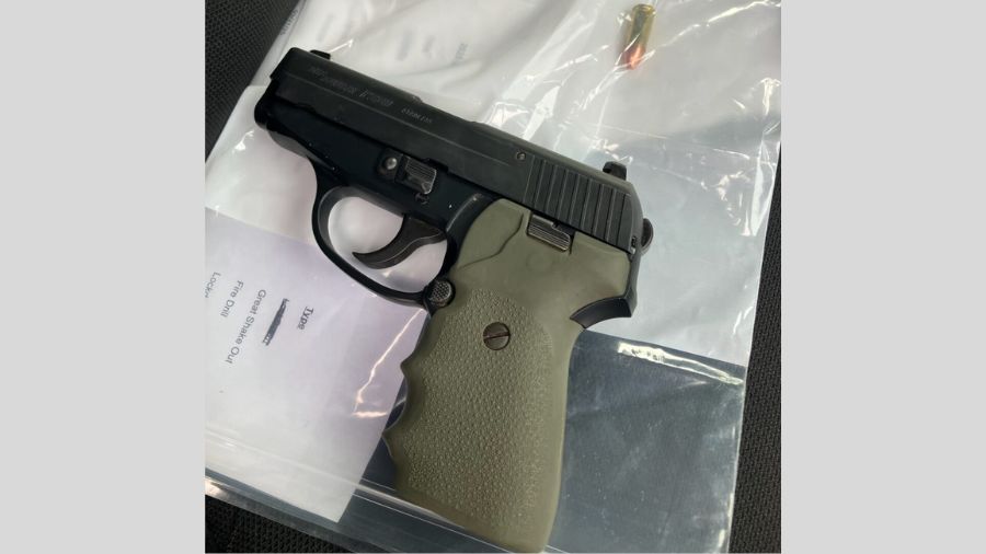 Pierce County 14-year-old in custody after allegedly bringing gun to school