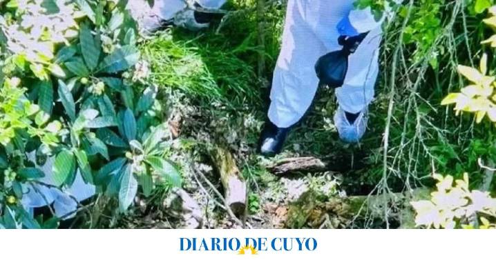 Crimen de Daiana Mendieta: así es el descampado donde encontraron muerta a la joven