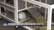 Annual Miller's Farm tours Sunday