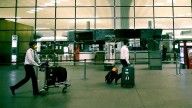 Mumbai Airport Customs Seizes 36 Exotic Animals, Foils Major Smuggling Attempt