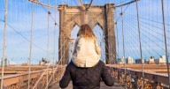 50 best cities to raise a family