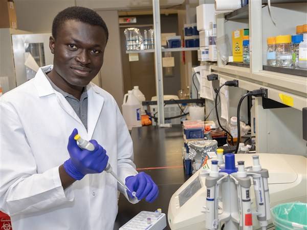 How 'dormancy' research at UT could transform cancer care