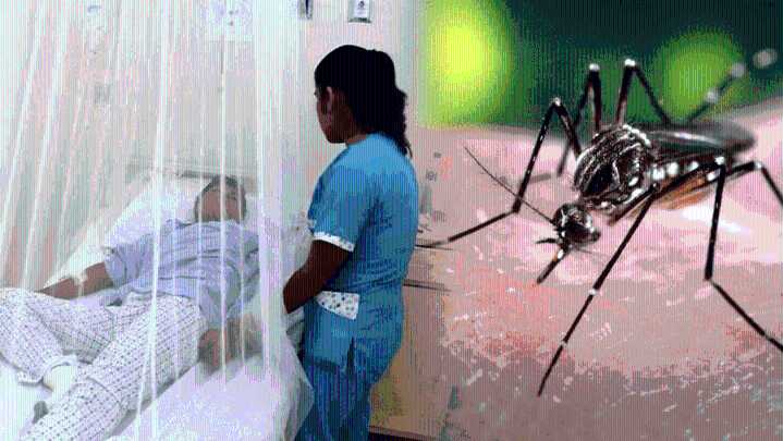 Dengue en Yucatán: se duplica la demanda de consultas médicas y los nuevos casos confirmados suben 50%