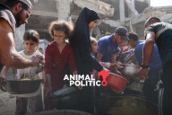 OMS advierte que el hambre en Gaza no disminuyó desde la tregua con Israel