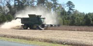 Farmers say drought conditions have hurt their crops this season