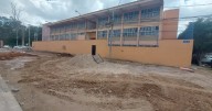 Árboles en colonia Burócratas cayeron, no fue tala: Ayuntamiento