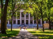 Harvard: las 3 reglas simples para manejar tus emociones y fortalecer el bienestar personal