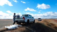 Confirmada la presencia de gripe aviar en aves silvestres muertas en distintos puntos de Aragón