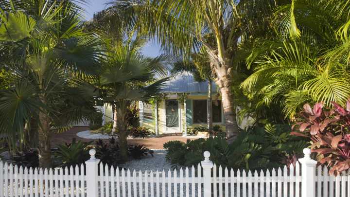 How To Prepare Your Tropical Plants For Winter