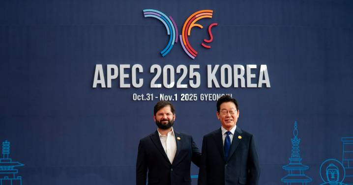 Boric participa en la sesión de apertura del diálogo entre líderes de la APEC y llama a manifestarse a favor del multilateralismo