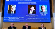 Nobel economics prize goes to 3 researchers for explaining innovation