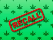 Weed retailer rented out its official state license, OCM says