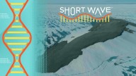 Scientists explored the northernmost island of Greenland. Here’s what they found : Short Wave : NPR