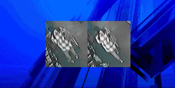 Dollar General worker bitten in alleged theft; Police asking for help