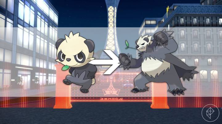 How to evolve Pancham in Pokémon Legends: Z