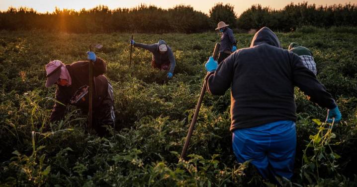 Así es como el cierre gubernamental pone en peligro a los inmigrantes