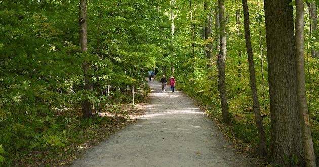 Input provided on plans to upgrade Beamer conservation area ‘encouraging’