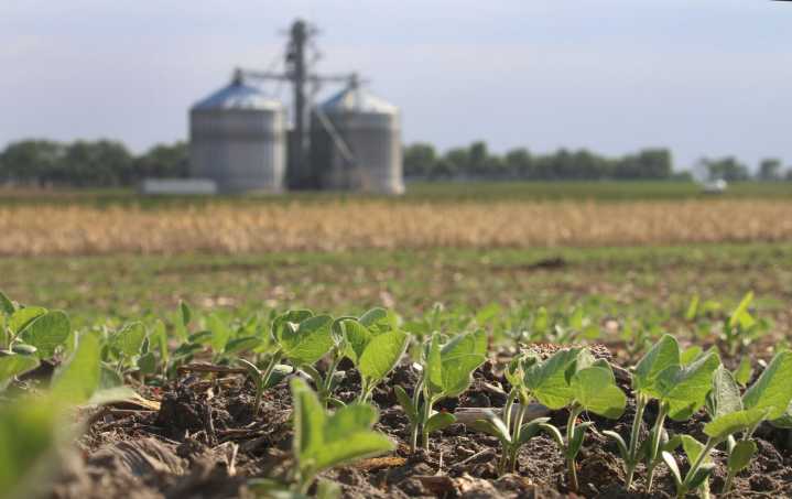 Farmers’ mental health needs focus of Minnesota program