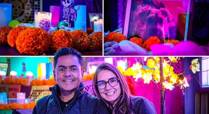 Mineral de la Reforma honra a las mascotas fallecidas en el inicio de Día de Muertos