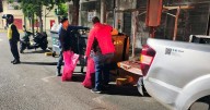 Buscan el origen de la basura contaminante en los contenedores del área centro sur de Neuquén