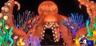 The Loveland Living Planet Aquarium creates  holiday magic with its Lantern Festival