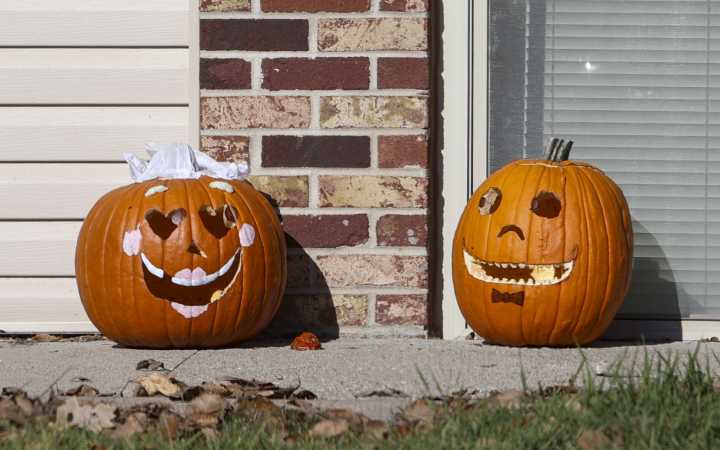 'Take Jack Back' pumpkin composting begins Nov. 1