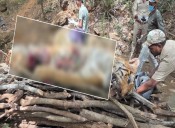 Tiger found killed in MM Hills wildlife sanctuary, probe ordered