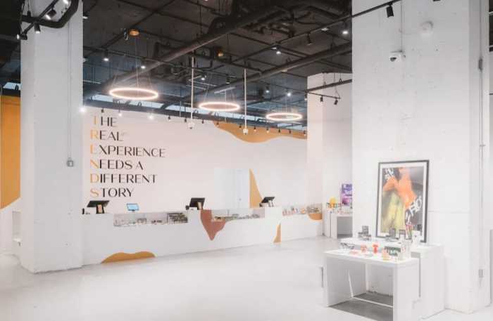 44th Drive transforms into a health hub for inaugural LIC Wellness Fest