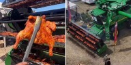 Realizaron un asado masivo en una cosechadora y el video causó furor en las redes