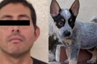 Ferdinando "N" tramitó amparo en Mérida para seguir su proceso en libertad; ¿quién se lo aceptó?