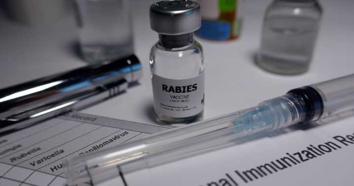 60-day rabies alert issued in Polk County: Department of Health