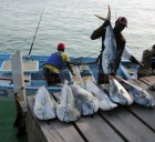En medio del enfrentamiento entre Estados Unidos y Venezuela, los pescadores de Trinidad y Tobago temen por sus vidas y sus empleos