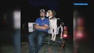 Union County man seeking justice after hunting dog shot and killed