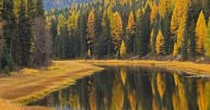 Weather Forecast: Pleasant Fall weather Tuesday