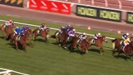 Horse racing news 2025, Sir Delius wins Turnbull stakes, video