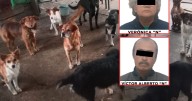 Mujer muere y dos niños salen heridos tras ataque de jauría en escuela de Huehuetoca; hay dos detenidos