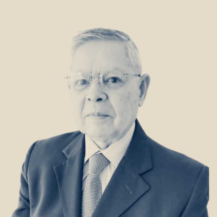 Domingo Faustino Sarmiento, maestro de la patria argentina