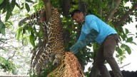 Wildlife Week: Awareness, Habitat Protection Key To Reducing Man