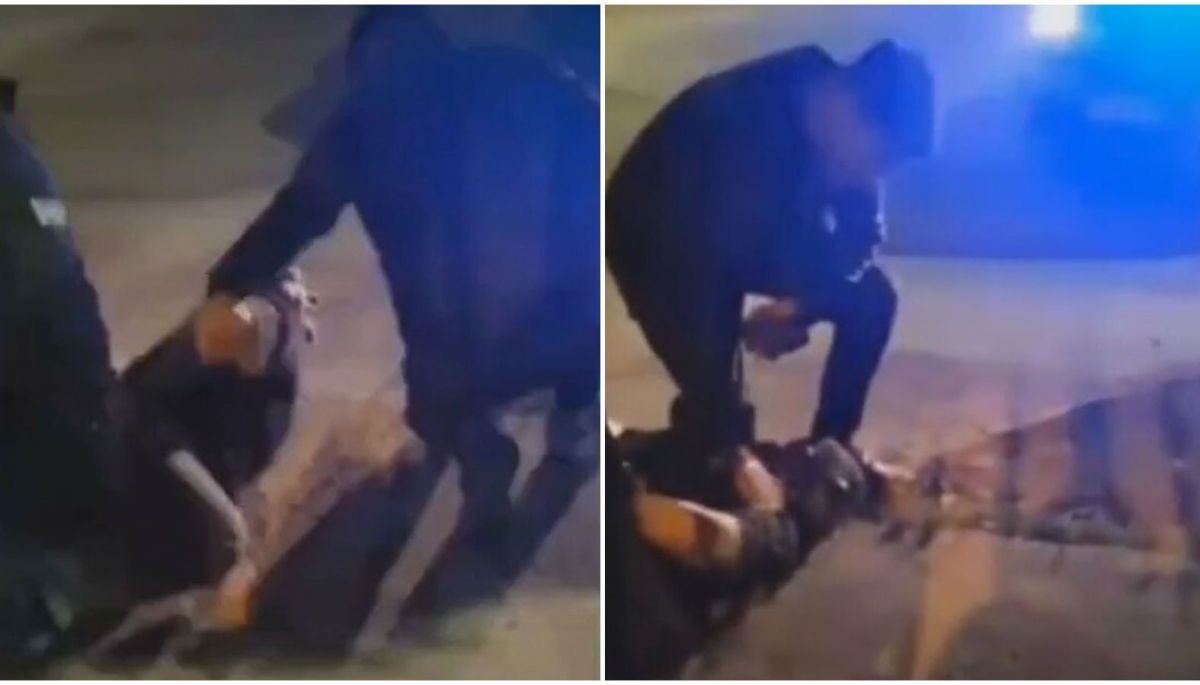 VIDEO: sospechoso en desaparición de Krishna Aguilera intentó resistirse a detención