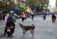Georgian police clash with protesters as ruling party says it won local elections