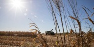 Harvest ‘in full swing’ across Iowa, rain welcome to reduce dust and fires
