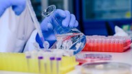 España suspende en investigación de nuevos fármacos