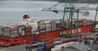 NZ eyes stronger regional ties amid US