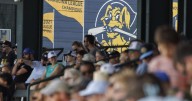 Charleston RiverDogs sue moving company over trademark